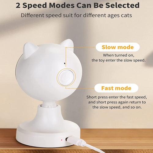 Automatic Cat Laser 
